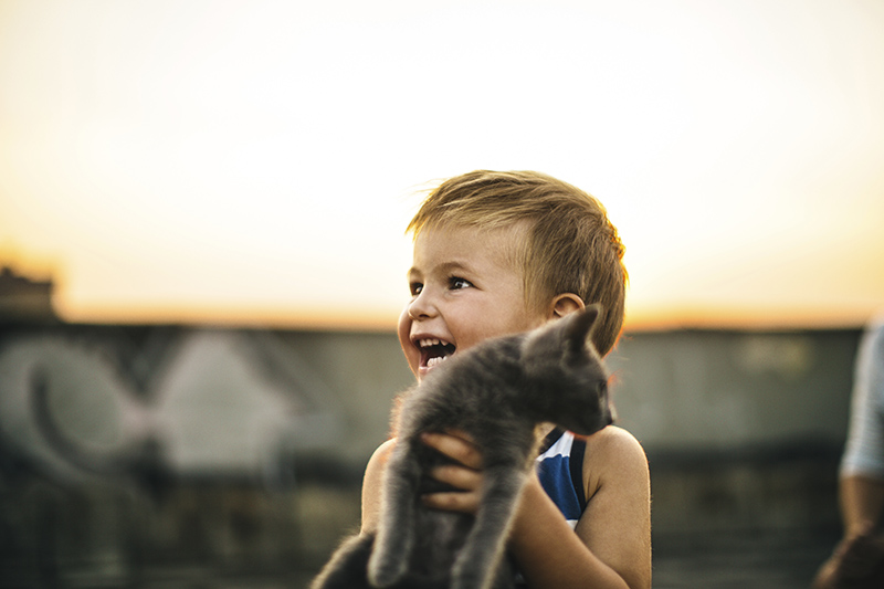 A young boy is holding a cat in the sun and smiling broadly.