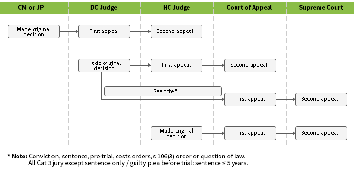 Appeal pathways diagram